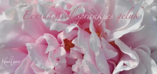 Een dag vol sprankjes geluk