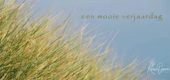 Een mooie verjaardag