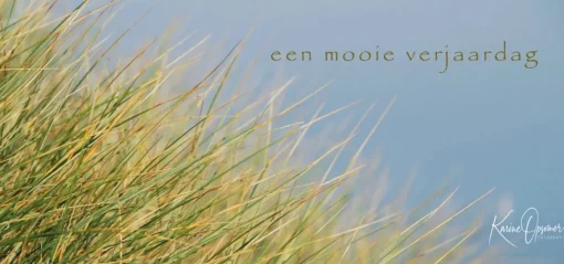 Een mooie verjaardag