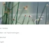 En laat het heden