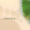 Geboorte... Wonder...
