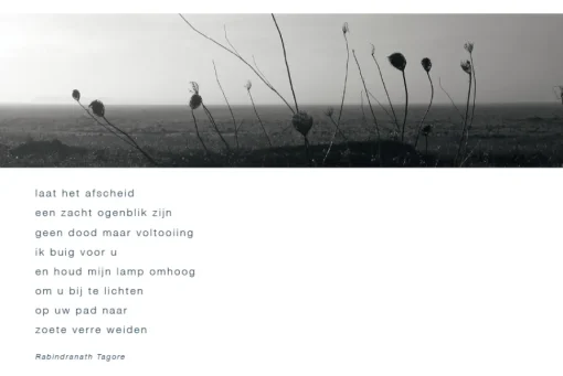 Laat het afscheid