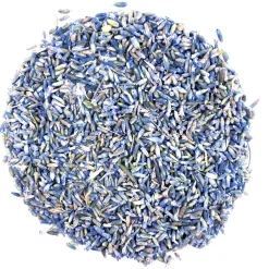 Lavendel