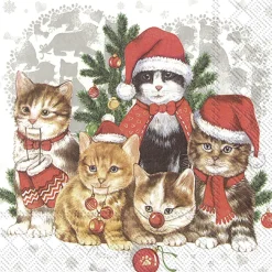 Lunchservet Cat - Mas