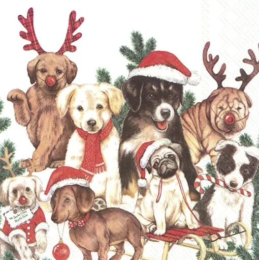 Lunchservet Dog-Mas
