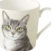 Mok 'Farm cat'