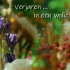 Verjaren... in een wolk van geluk