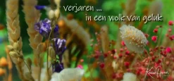 Verjaren... in een wolk van geluk