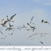 Voel je zweven vandaag... een gevoel van weidsheid...