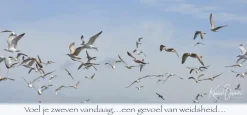 Voel je zweven vandaag... een gevoel van weidsheid...