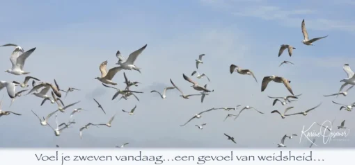 Voel je zweven vandaag... een gevoel van weidsheid...