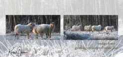 Vredige kerst...