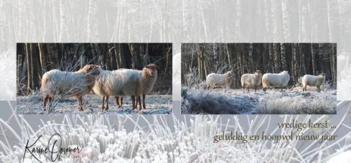 Vredige kerst...