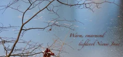 Warm, omarmend liefdevol Nieuwjaar