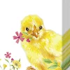 Zakdoek 'Chicks'
